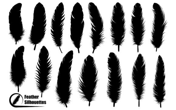 Download Bird Feather Silhouettes Vector Art - Premium Resources