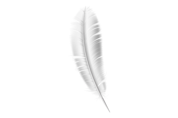 Download Realistic Bird Feather. White Fluffy Lig - Premium Resources
